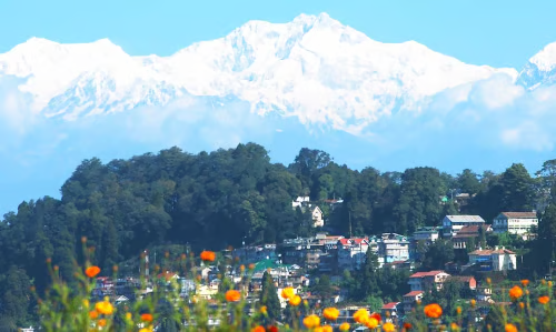 Darjeeling (6)