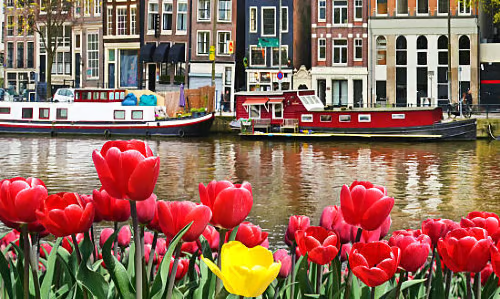Netherlands (5)