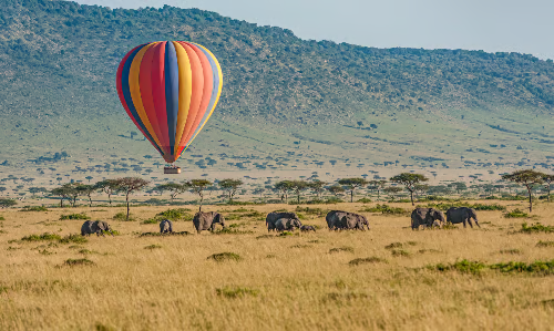 South Africa (5)