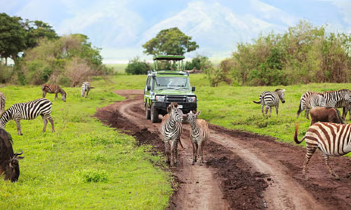 Tanzania (1)