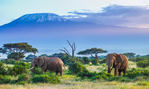 Tanzania (3)