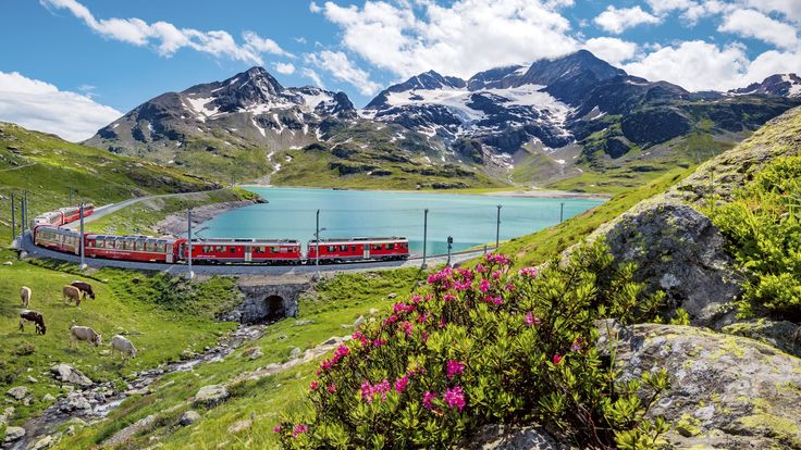 Switzerland (6)
