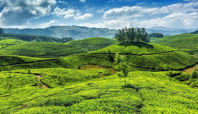 Kerala (1)