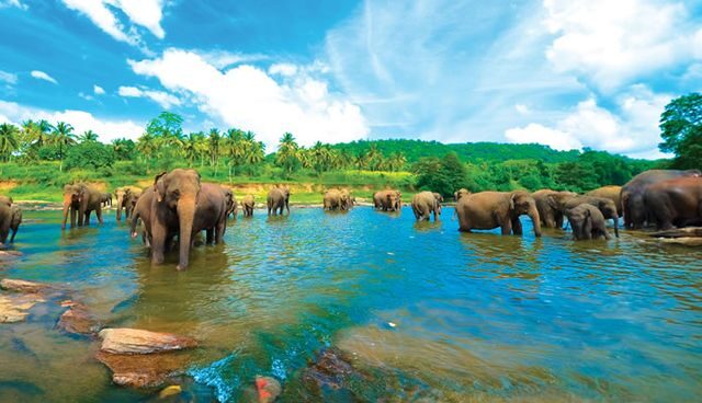 Kerala (3)