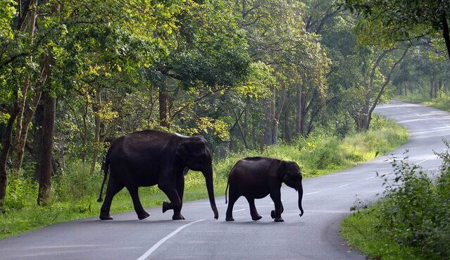 Kerala (5)