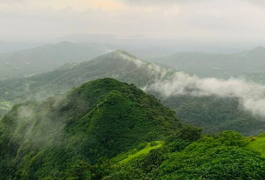 Maharashtra (4)